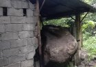 Di Prambanan, Batu Besar Menimpa Dapur Rumah Warga