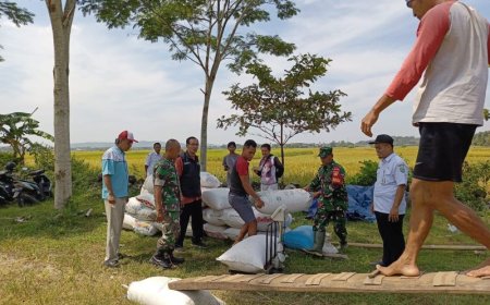 Bulog Magelang Memaksimalkan Penyerapan Gabah