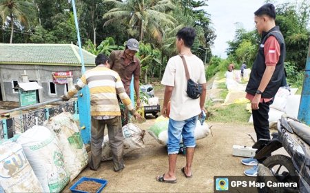 Bulog Serap Gabah Korban Banjir di Kebumen