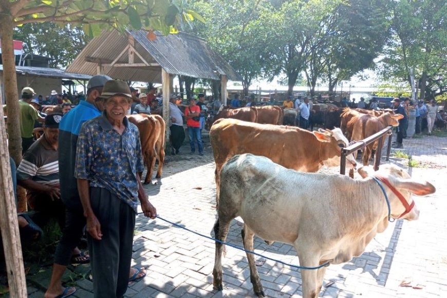 Pasar Hewan Bonyokan Jatinom Klaten Berangsur Ramai
