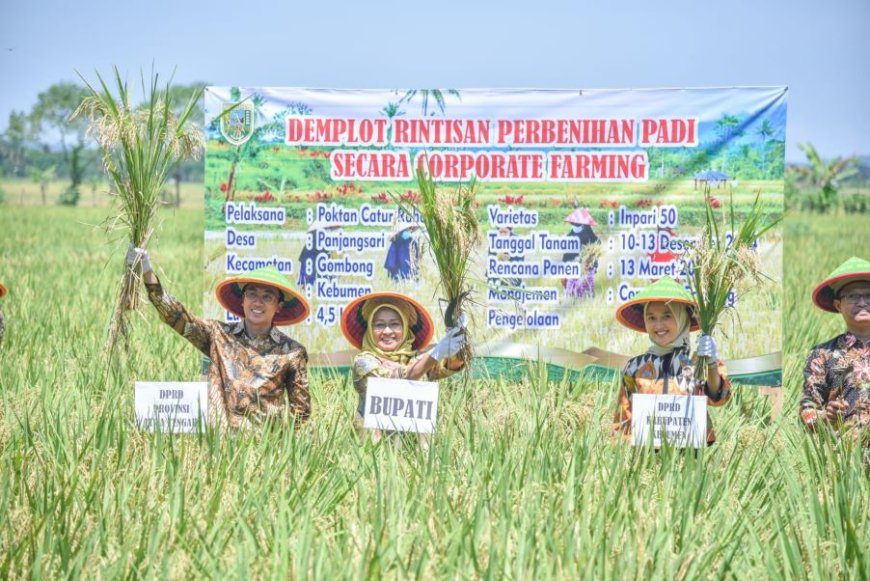 Kebumen Kembangkan Corporate Farming Padi pada Lahan Seluas 156 Hektar