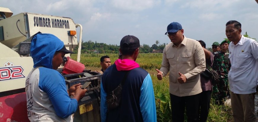 Wamentan Panen Raya Padi di Bantul, Langsung Diserap Bulog