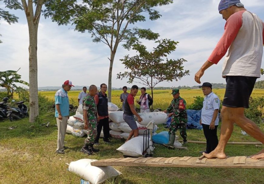 Bulog Magelang Memaksimalkan Penyerapan Gabah