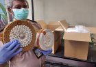 Ekspor ke AS, Karantina Yogyakarta Periksa Produk Kerajinan Kerang