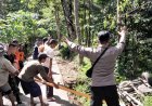 Mesin Mati Rem Blong, Minibus Terguling ke Jurang di Kebumen