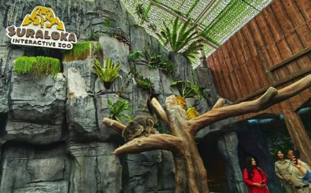 Suraloka Interactive Zoo Buka Empat Zona Baru