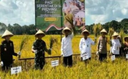 Lahan Pertanian Abadi Jika Rugi Ditanggung Pemerintah