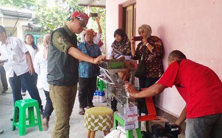 Tepung Sorgum Bisa Gantikan Gandum, Impor Harus Dikurangi