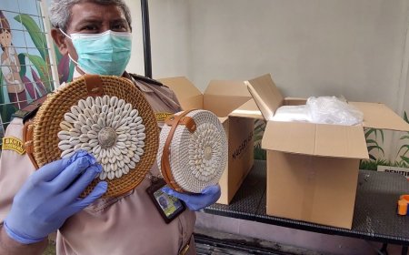 Ekspor ke AS, Karantina Yogyakarta Periksa Produk Kerajinan Kerang