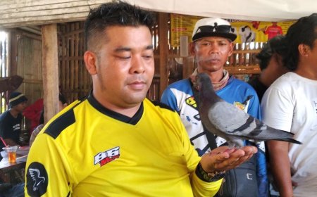 Merpati Alfarez Asal Wonosobo Juara, Raih Hadiah Mobil Ayla