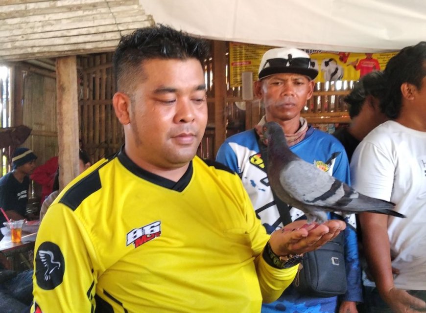 Merpati Alfarez Asal Wonosobo Juara, Raih Hadiah Mobil Ayla