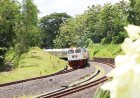 Menjelajahi Keindahan Kulonprogo dari Balik Gerbong Kereta