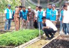 Dipilih PLN EPI, Gunungkidul Jadi Pilot Project Pengembangan Biomassa