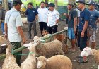 Manfaatkan Lahan Terbengkalai, Desa Karang Dukuh Jogonalan Miliki Pasar Hewan
