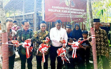 Kandang Merah Putih Charoen Pokphand Berdayakan Disabilitas Gunungkidul Menuju Kemandirian