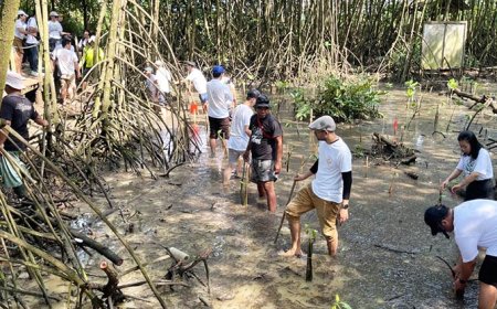 Jaga Keseimbangan Alam, Ratusan Umat Buddha Aksi Bersih Pantai dan Tanam Bakau