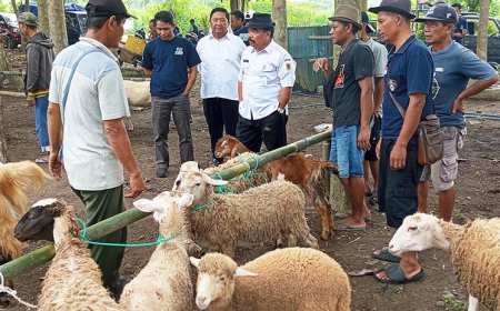 Manfaatkan Lahan Terbengkalai, Desa Karang Dukuh Jogonalan Miliki Pasar Hewan