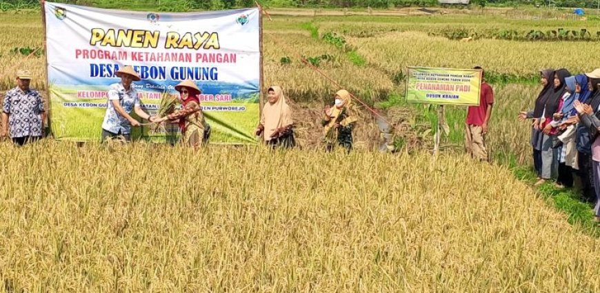Dukung Ketahanan Pangan, KWT Sumbersari Purworejo Panen Raya