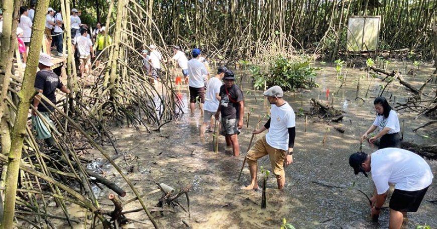 Jaga Keseimbangan Alam, Ratusan Umat Buddha Aksi Bersih Pantai dan Tanam Bakau