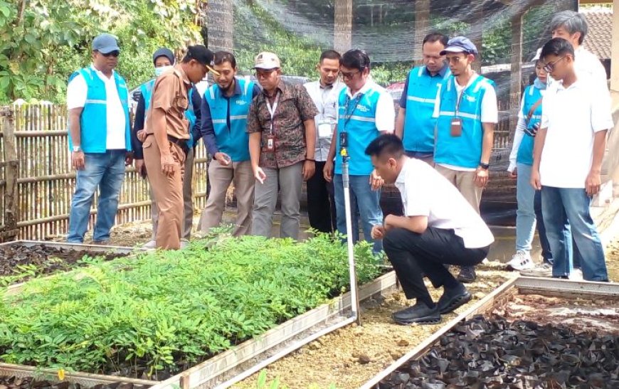 Dipilih PLN EPI, Gunungkidul Jadi Pilot Project Pengembangan Biomassa