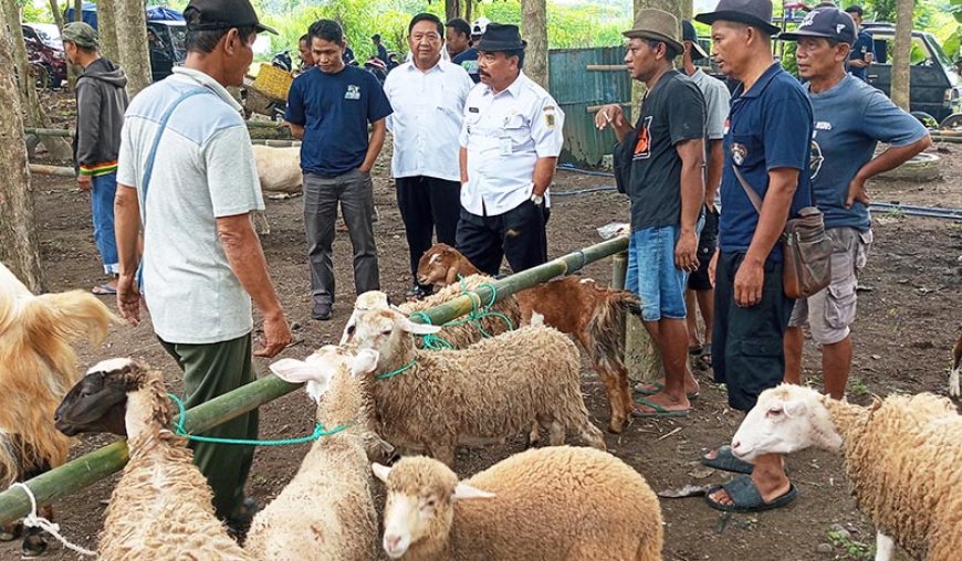 Manfaatkan Lahan Terbengkalai, Desa Karang Dukuh Jogonalan Miliki Pasar Hewan