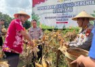 Pemkab Sleman Siap Beri Dukungan Lahan Tanam Jagung