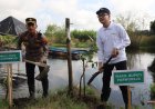 Pemkab Purworejo Dukung Program Mageri Segoro dengan Tanam Mangrove