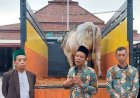 Presiden Prabowo Kurban Seekor Sapi Peranakan Ongole untuk Warga Kebumen