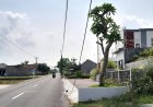 Kabel Wifi di Klaten Menjuntai ke Tanah, Dikeluhkan Warga