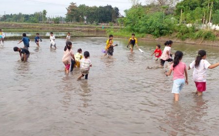 Usai Pemilihan RT, Warga Balong Bantul Turun ke Sawah Gogoh Ikan