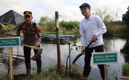 Pemkab Purworejo Dukung Program Mageri Segoro dengan Tanam Mangrove
