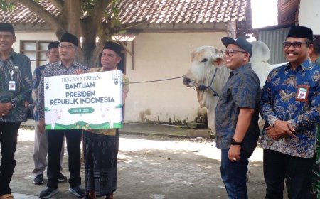 Dua Sapi Kurban dari Presiden Prabowo untuk Warga Bantul