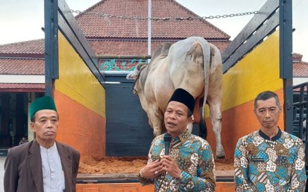 Presiden Prabowo Kurban Seekor Sapi Peranakan Ongole untuk Warga Kebumen
