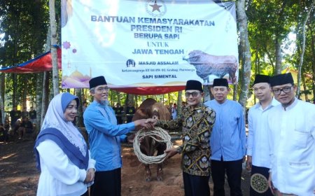 Sapi Kurban Bantuan Presiden Prabowo di Purworejo Berbobot 1,1 Ton