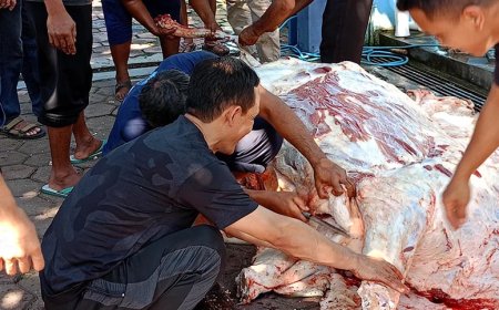 PDAM Tirta Perwitasari Purworejo Sembelih dan Bagikan Daging Kurban Secara mandiri