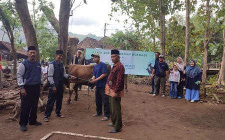 BMT Artha Amanah Sanden Serahkan Hewan Kurban