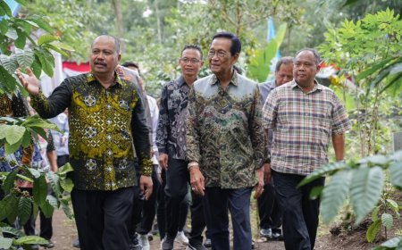 Kopi Robusta Lereng Merapi Panen Perdana, Kementan Beri Dukungan