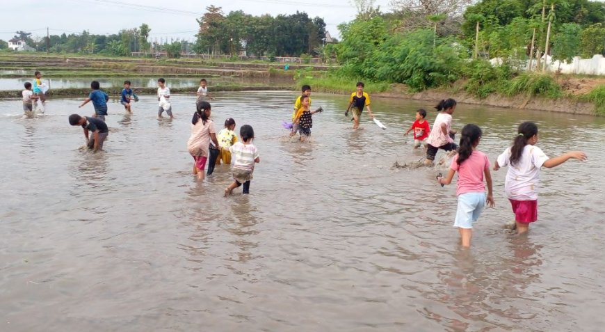 Usai Pemilihan RT, Warga Balong Bantul Turun ke Sawah Gogoh Ikan