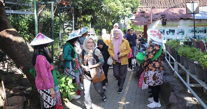 Perjalanan 5 Jam ke Jogja, Tim RDU Unsoed Belajar Soal Urban Farming di Kampung Sayur Bausasran