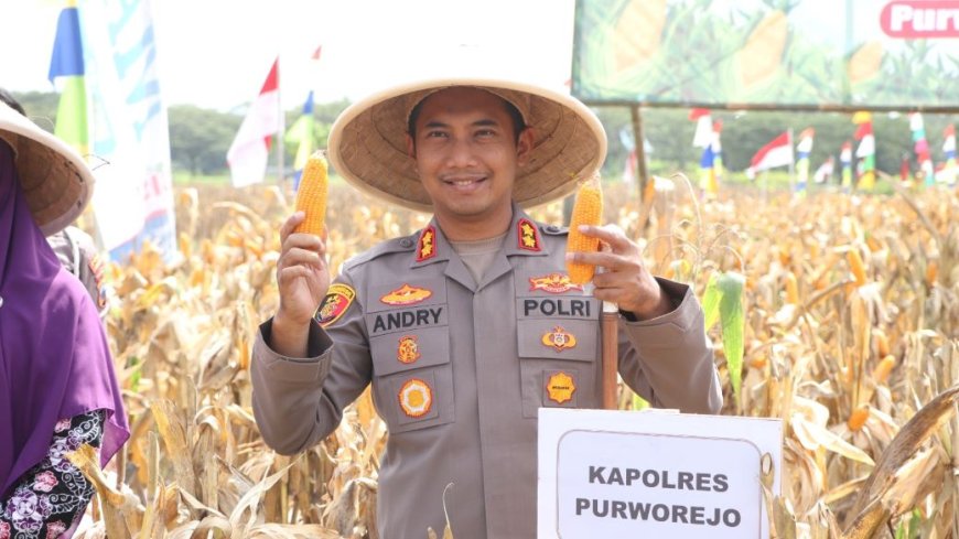 Kapolres Purworejo Pimpin Panen Raya Jagung di Wonosari Kecamatan Ngombol