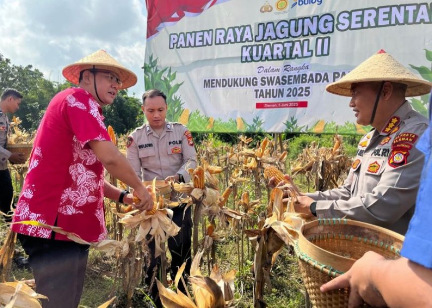 Pemkab Sleman Siap Beri Dukungan Lahan Tanam Jagung
