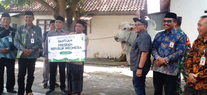 Dua Sapi Kurban dari Presiden Prabowo untuk Warga Bantul