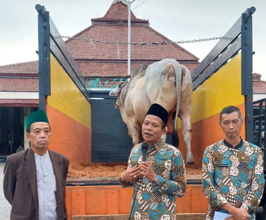 Presiden Prabowo Kurban Seekor Sapi Peranakan Ongole untuk Warga Kebumen
