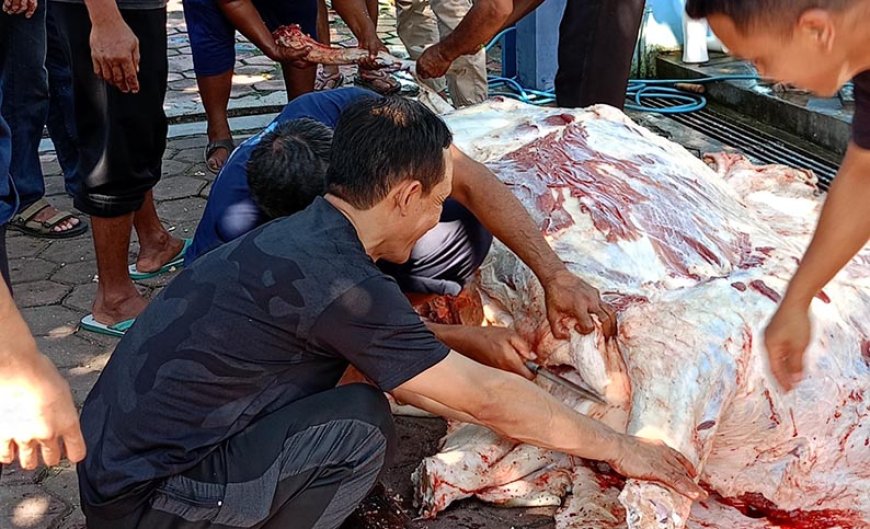 PDAM Tirta Perwitasari Purworejo Sembelih dan Bagikan Daging Kurban Secara mandiri