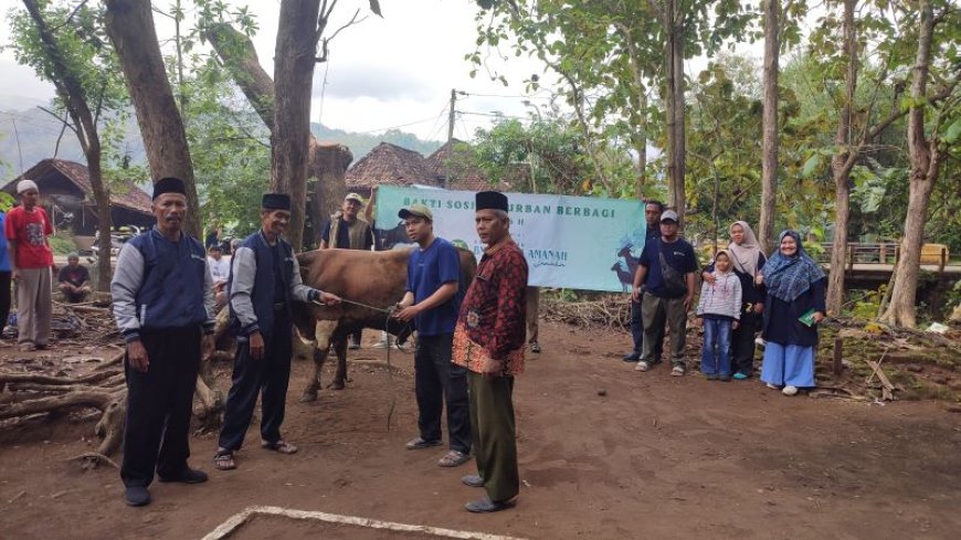BMT Artha Amanah Sanden Serahkan Hewan Kurban
