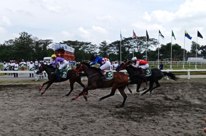 Sejumlah 54 Kuda Raih Posisi Podium IHRC 2025
