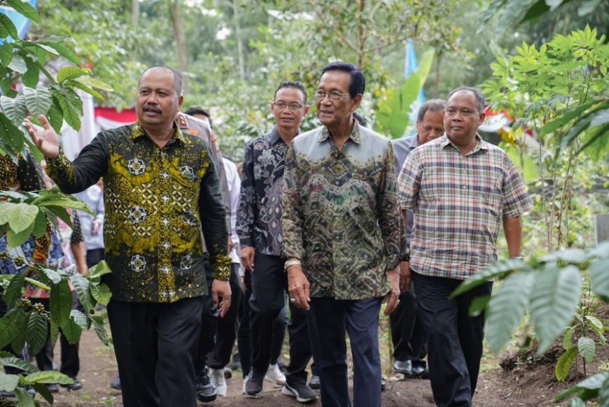 Kopi Robusta Lereng Merapi Panen Perdana, Kementan Beri Dukungan