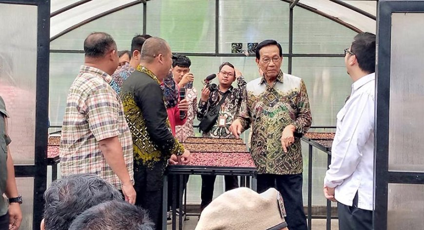 Taru Martani Siap Menyerap Kopi dari Petani Sleman