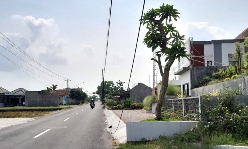 Kabel Wifi di Klaten Menjuntai ke Tanah, Dikeluhkan Warga