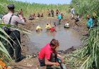 Petugas Berjibaku Empat Jam, Buaya di Juwono Bantul Berhasil Ditangkap